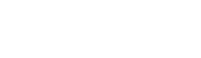 vl nation logo
